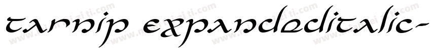 Tarnip ExpandedItalic字体转换